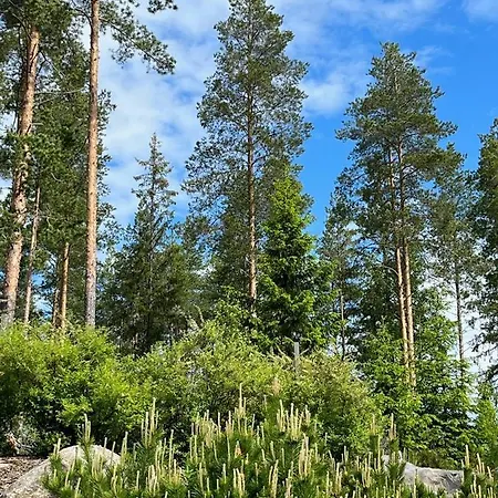 Kalliorinne Tatil Evi