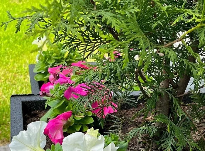 펜션 Kalliorinne Jyväskylä